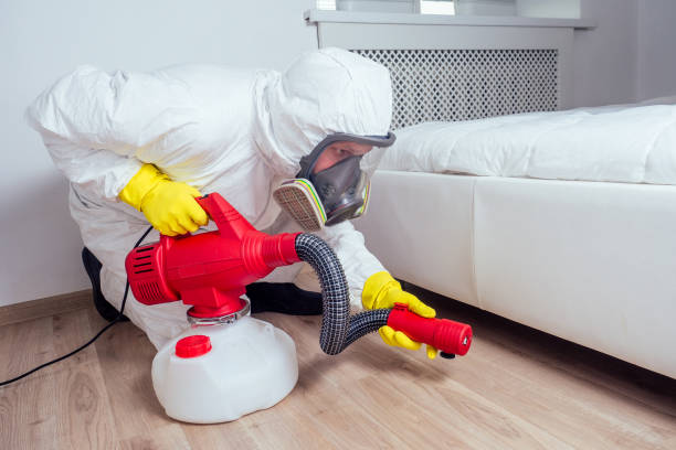 Flea Control Services in West Grove, PA